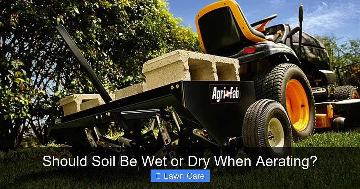 Should Soil Be Wet or Dry When Aerating?