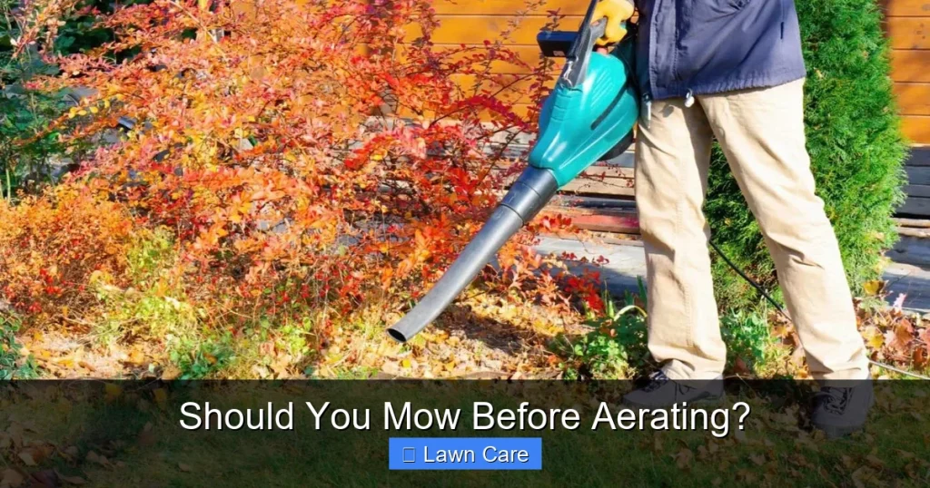 Should You Mow Before Aerating?
