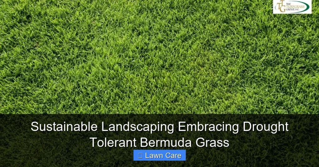 Sustainable Landscaping Embracing Drought Tolerant Bermuda Grass