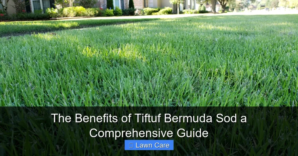The Benefits of Tiftuf Bermuda Sod a Comprehensive Guide