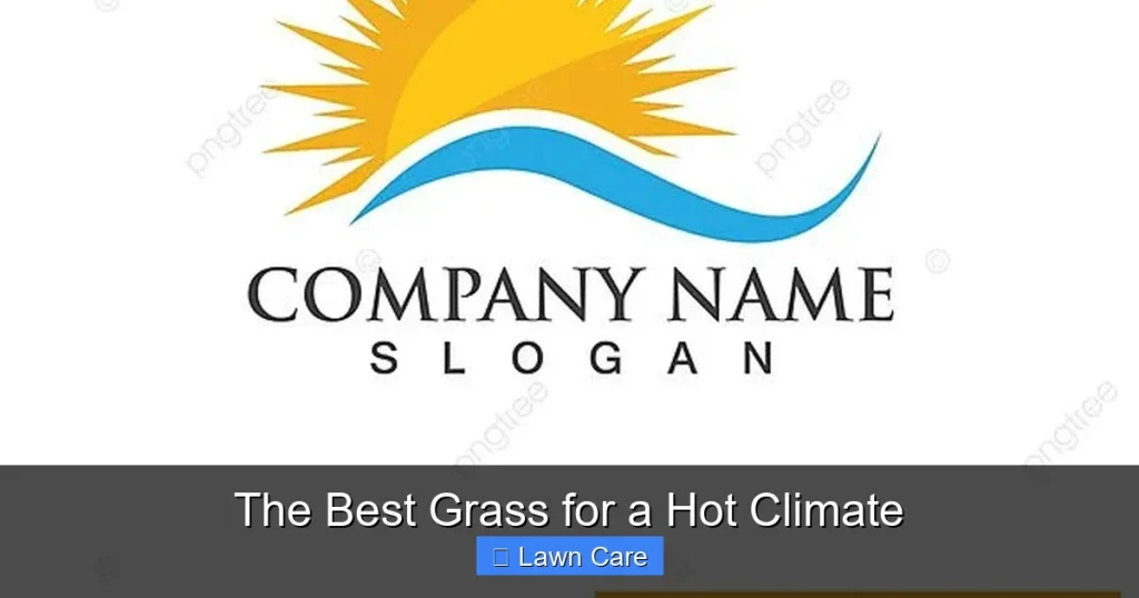 The Best Grass for a Hot Climate