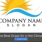 The Best Grass for a Hot Climate