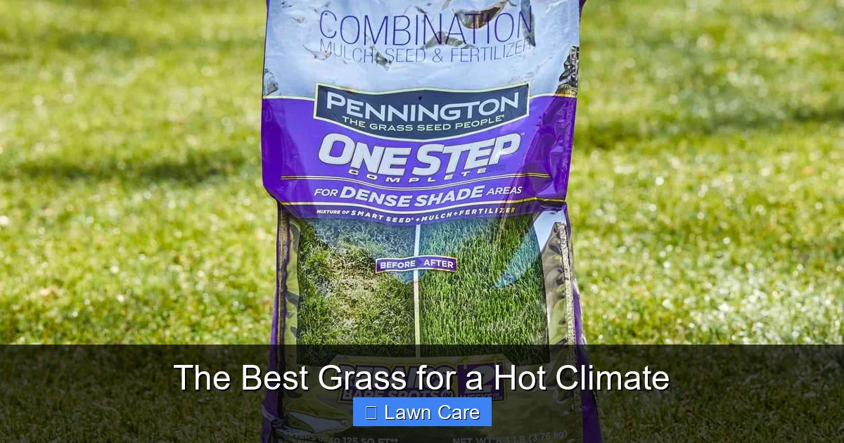 The Best Grass for a Hot Climate