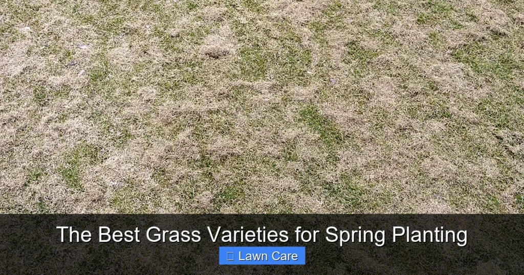 The Best Grass Varieties for Spring Planting