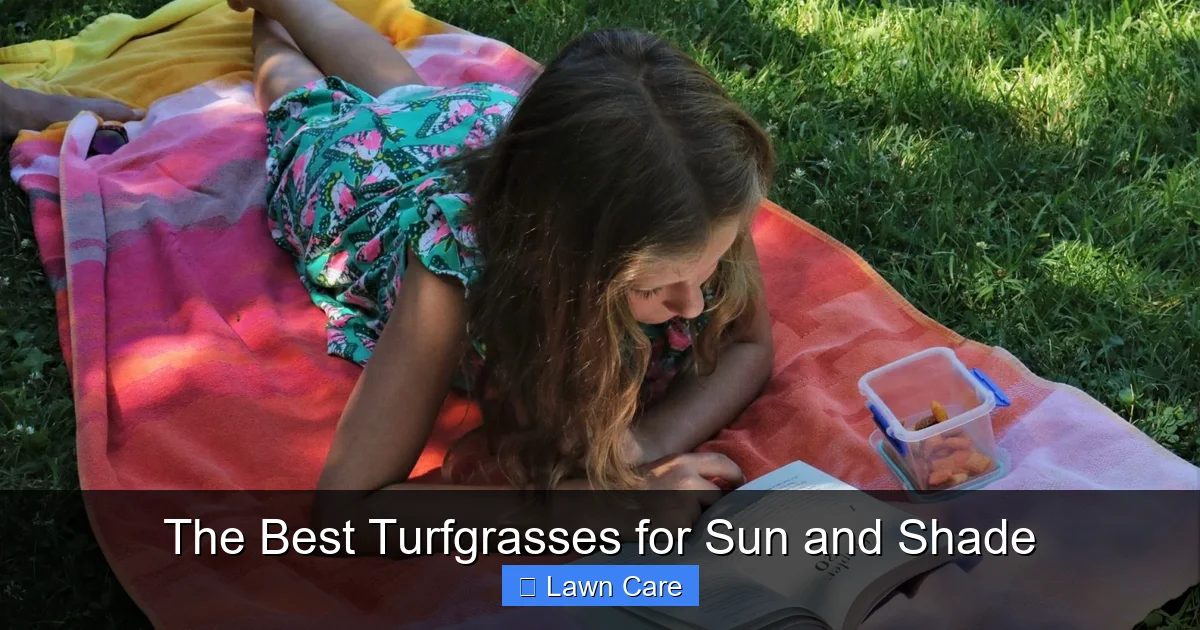 The Best Turfgrasses for Sun and Shade