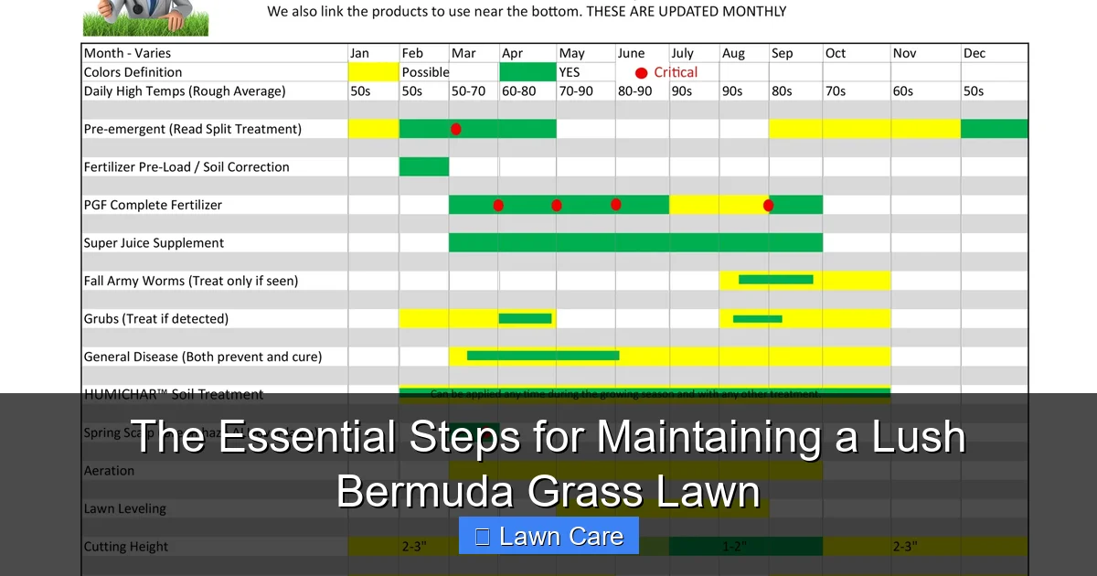 The Essential Steps for Maintaining a Lush Bermuda Grass Lawn