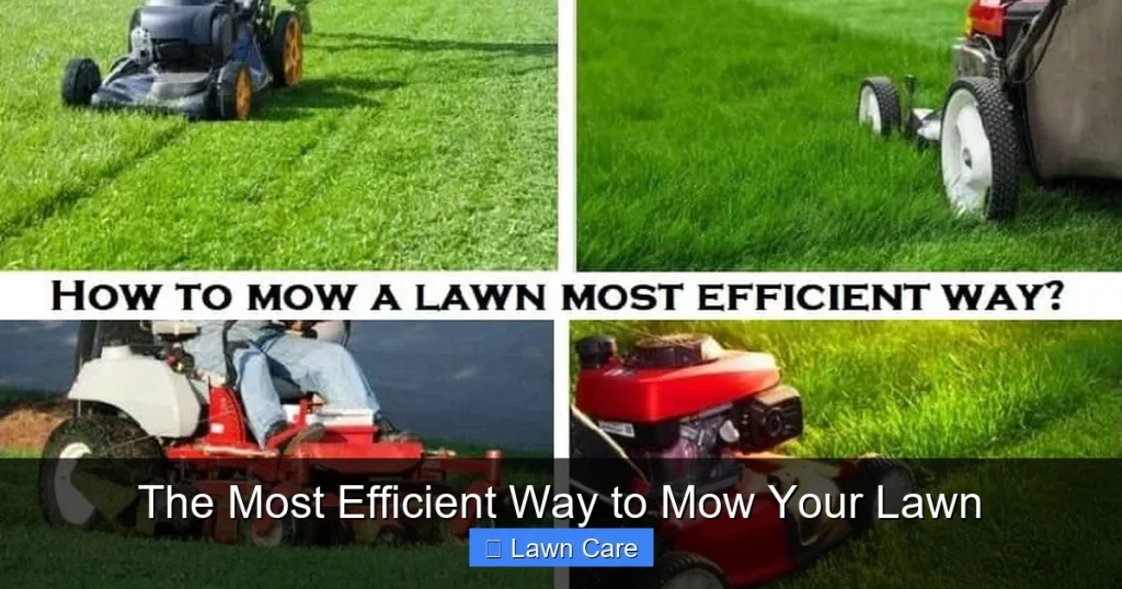 The Most Efficient Way to Mow Your Lawn