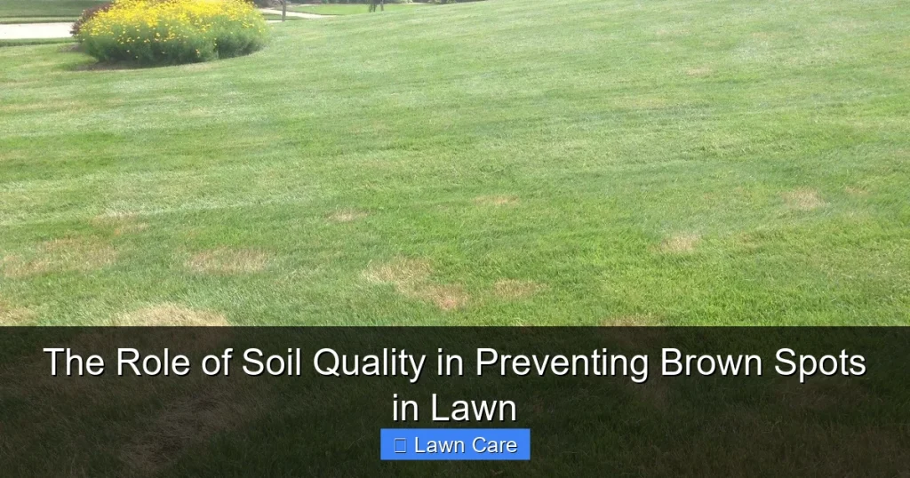 The Role of Soil Quality in Preventing Brown Spots in Lawn