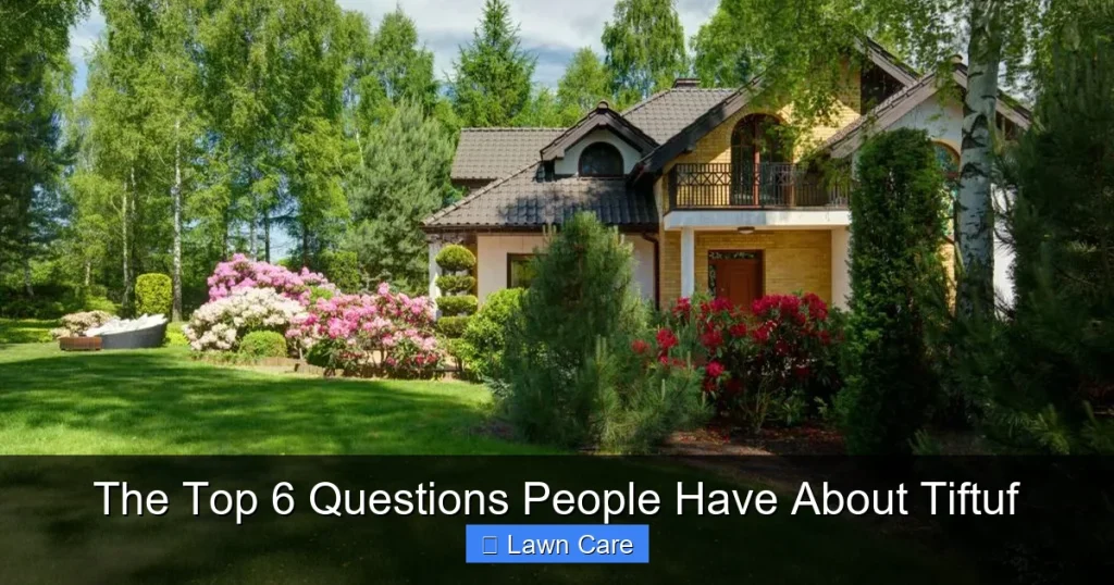 The Top 6 Questions People Have About Tiftuf