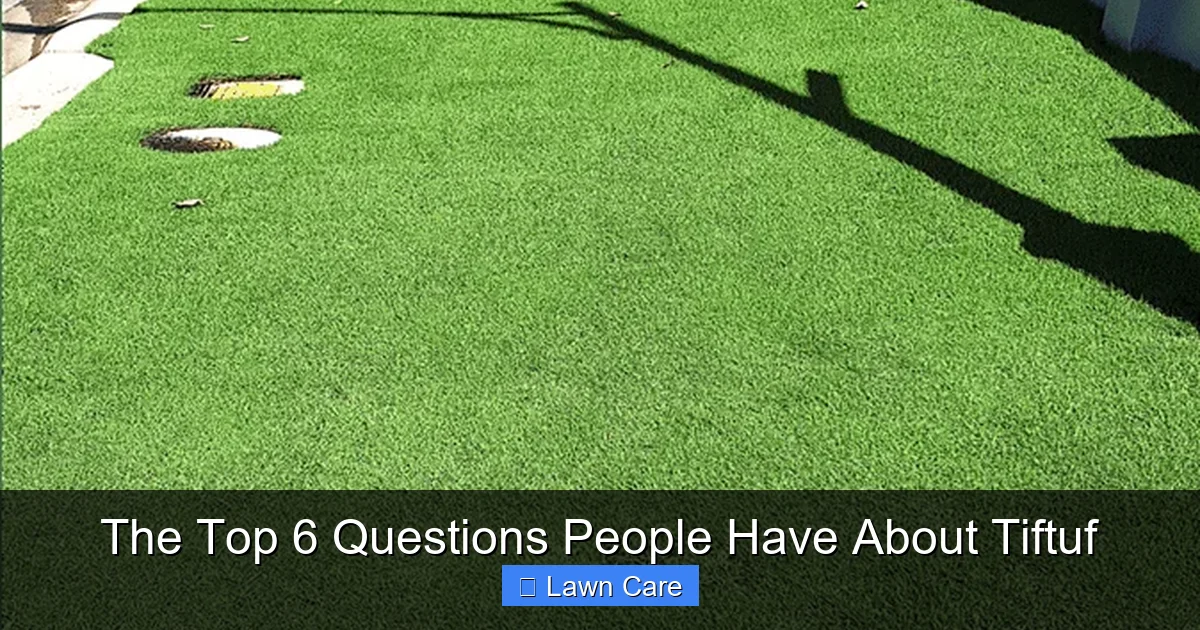 The Top 6 Questions People Have About Tiftuf