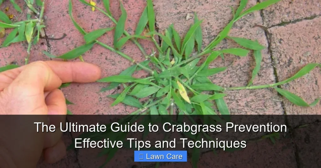 The Ultimate Guide to Crabgrass Prevention Effective Tips and Techniques