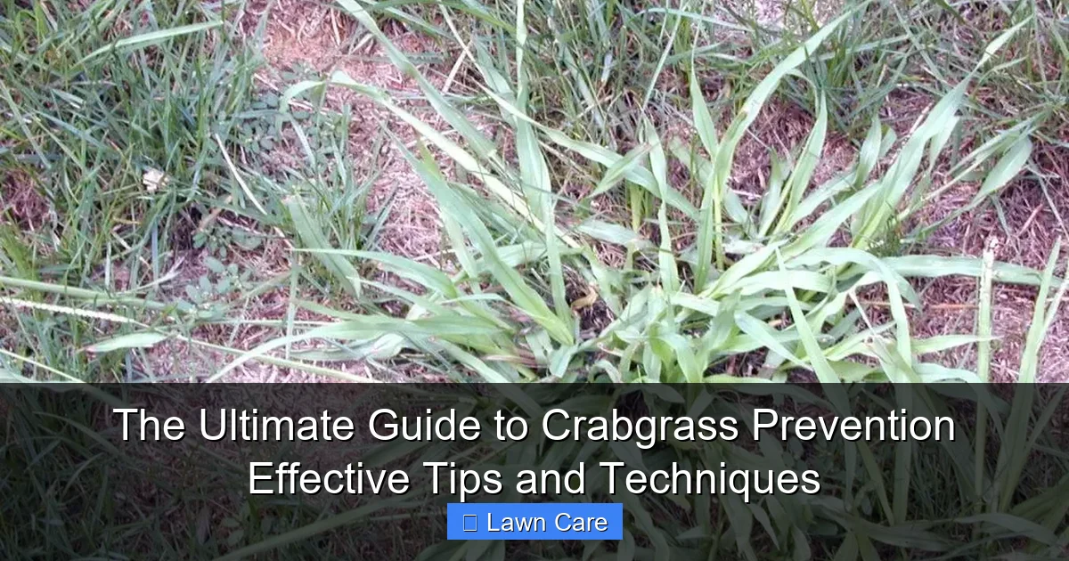 The Ultimate Guide to Crabgrass Prevention Effective Tips and Techniques