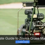 The Ultimate Guide to Zoysia Grass Maintenance