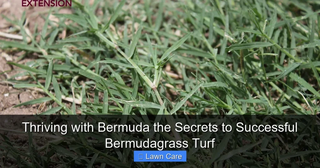 Thriving with Bermuda the Secrets to Successful Bermudagrass Turf