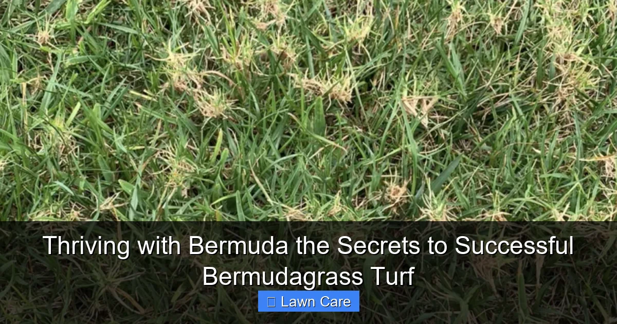 Thriving with Bermuda the Secrets to Successful Bermudagrass Turf
