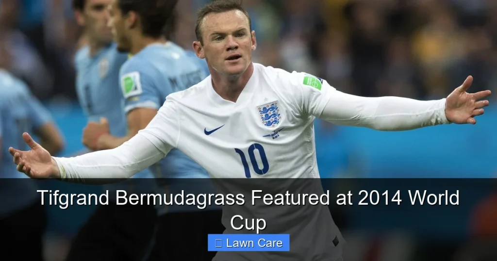 Tifgrand Bermudagrass Featured at 2014 World Cup