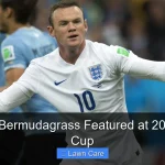 Tifgrand Bermudagrass Featured at 2014 World Cup