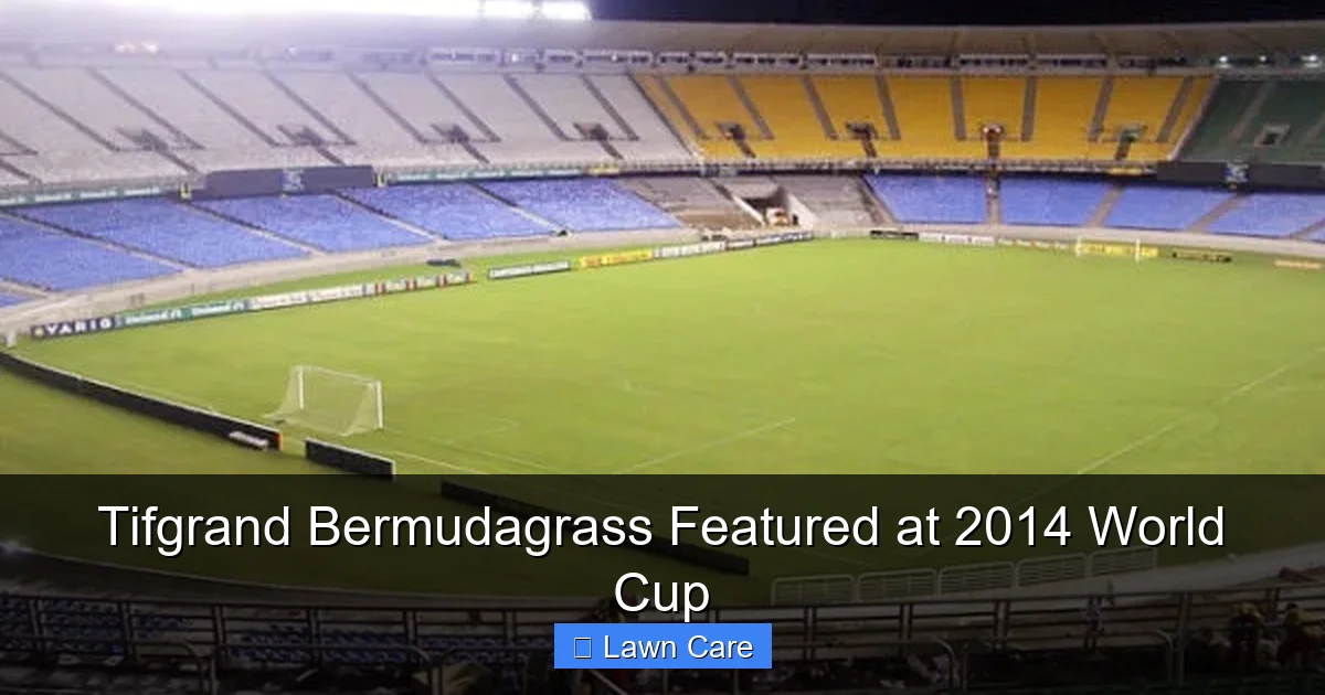 Tifgrand Bermudagrass Featured at 2014 World Cup