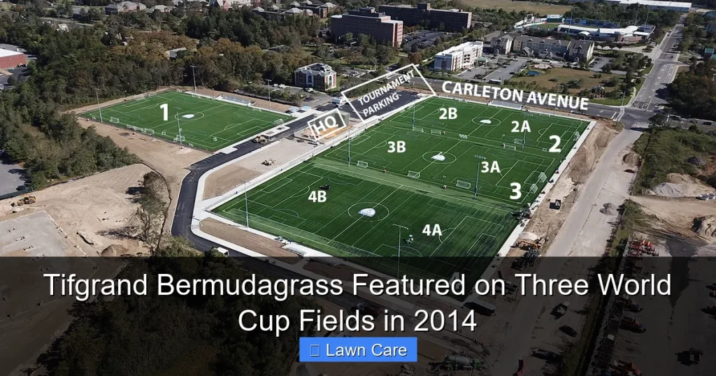 Tifgrand Bermudagrass Featured on Three World Cup Fields in 2014