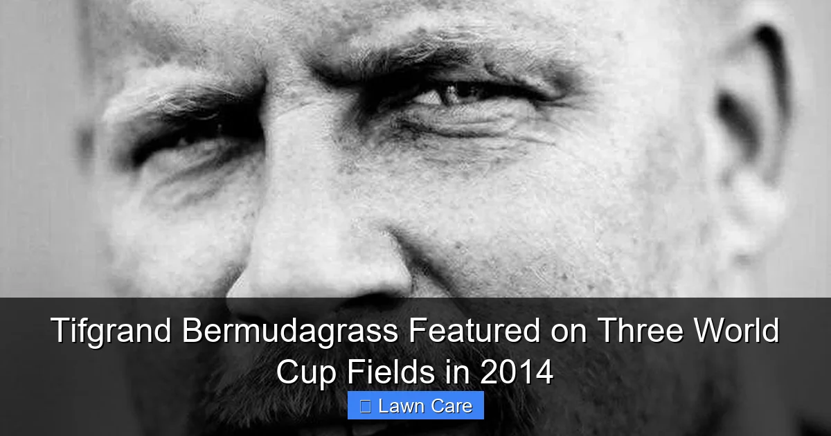 Tifgrand Bermudagrass Featured on Three World Cup Fields in 2014