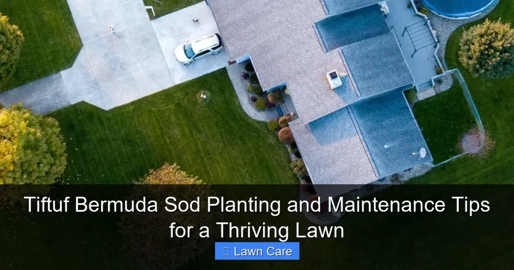 Tiftuf Bermuda Sod Planting and Maintenance Tips for a Thriving Lawn