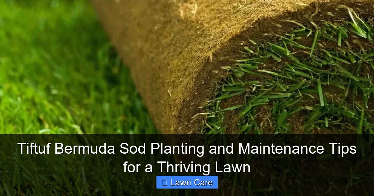 Tiftuf Bermuda Sod Planting and Maintenance Tips for a Thriving Lawn
