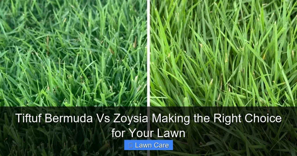 Tiftuf Bermuda Vs Zoysia Making the Right Choice for Your Lawn