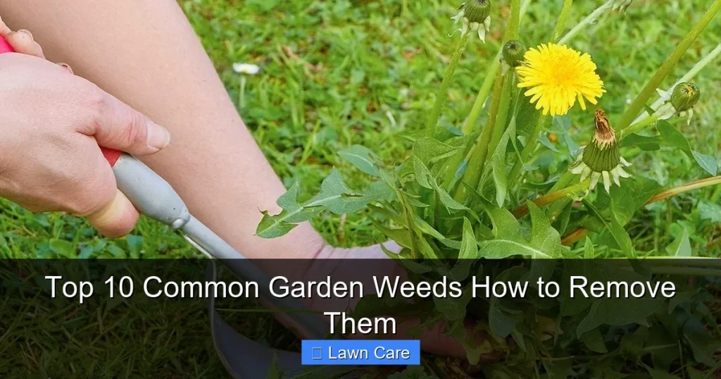 Top 10 Common Garden Weeds How to Remove Them