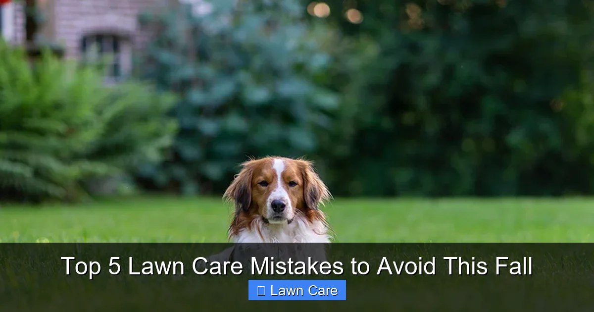 Top 5 Lawn Care Mistakes to Avoid This Fall