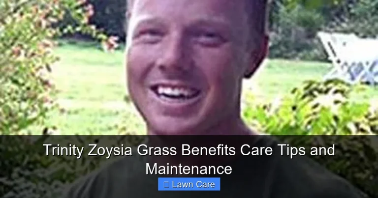 Trinity Zoysia Grass Benefits Care Tips and Maintenance