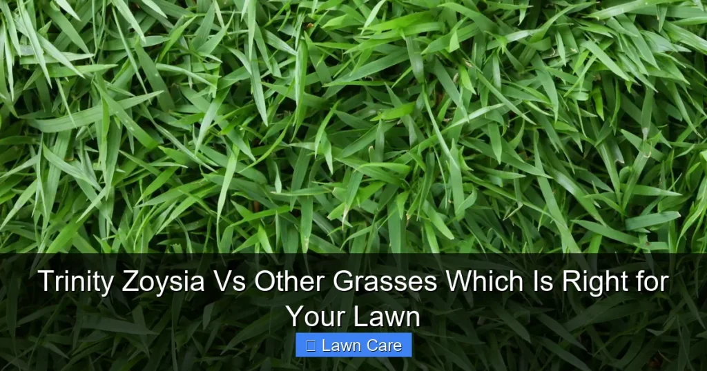 Trinity Zoysia Vs Other Grasses Which Is Right for Your Lawn