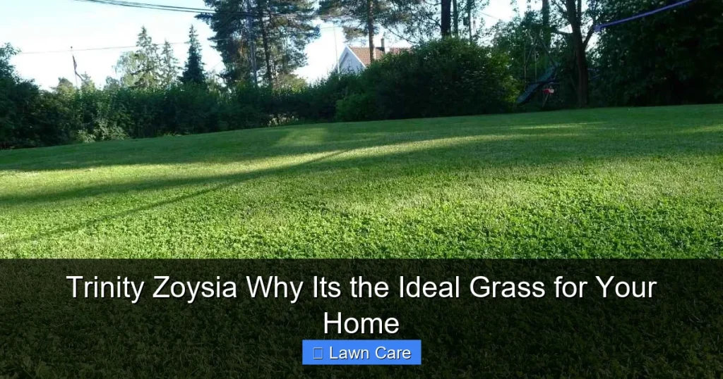 Trinity Zoysia Why Its the Ideal Grass for Your Home