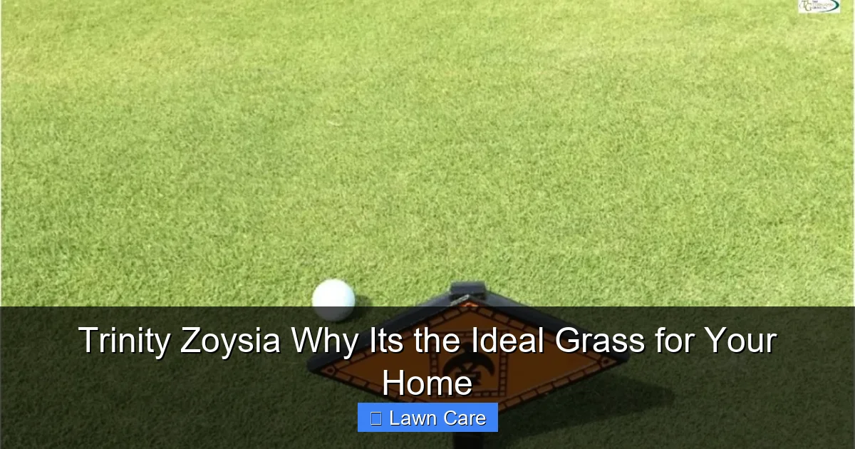 Trinity Zoysia Why Its the Ideal Grass for Your Home