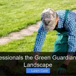 Turf Professionals the Green Guardians of Your Landscape