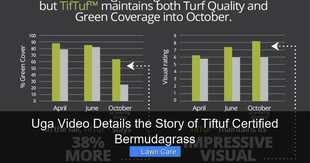 Uga Video Details the Story of Tiftuf Certified Bermudagrass