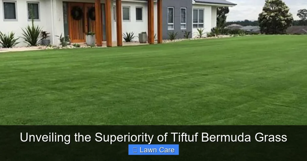 Unveiling the Superiority of Tiftuf Bermuda Grass