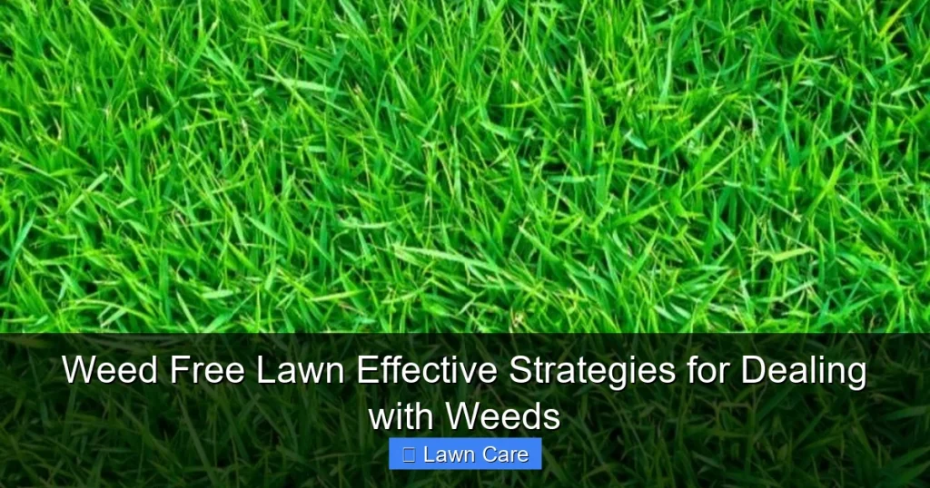 Weed Free Lawn Effective Strategies for Dealing with Weeds