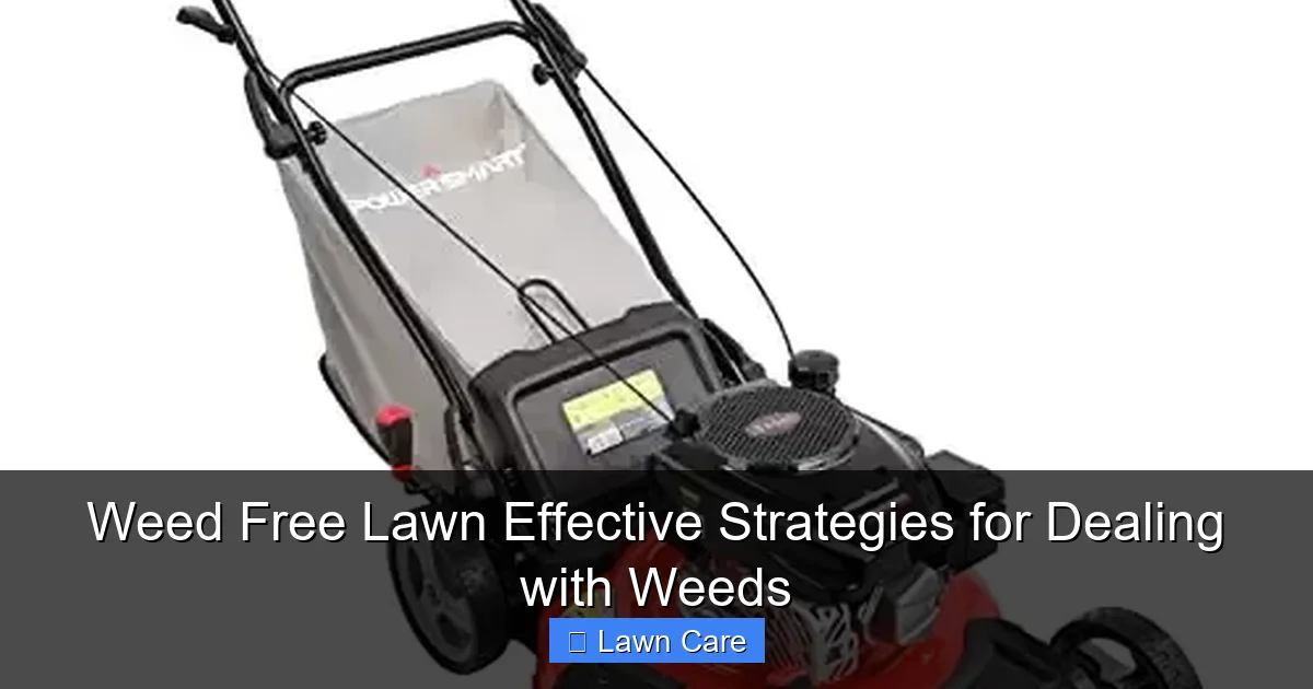 Weed Free Lawn Effective Strategies for Dealing with Weeds