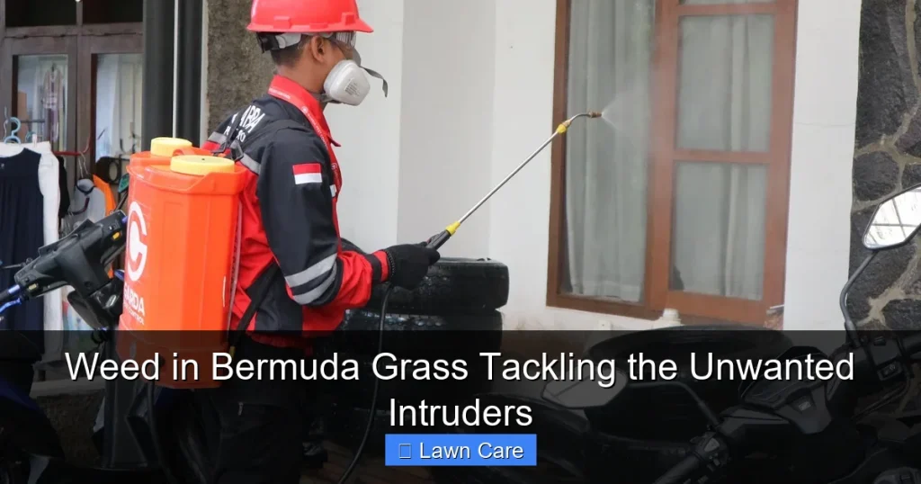 Weed in Bermuda Grass Tackling the Unwanted Intruders