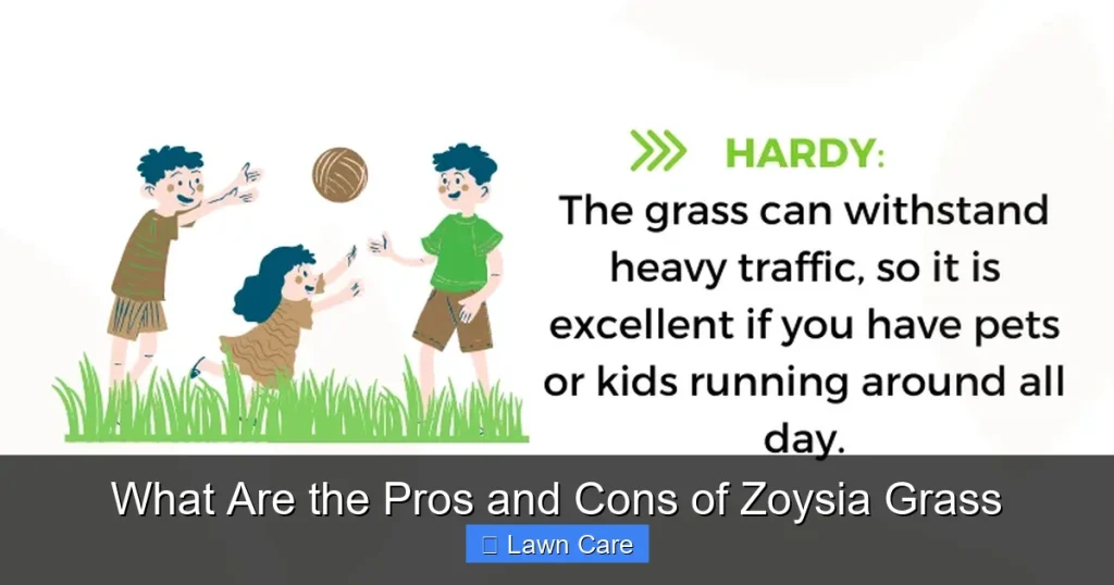 What Are the Pros and Cons of Zoysia Grass