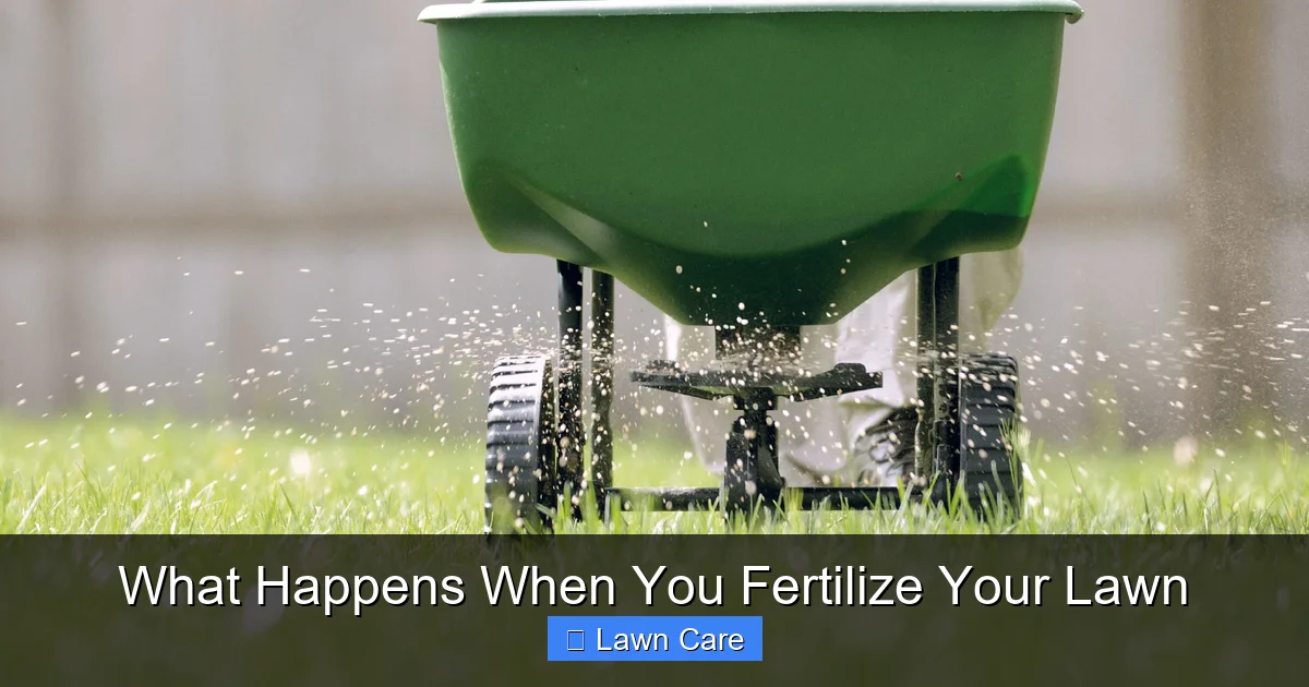 What Happens When You Fertilize Your Lawn