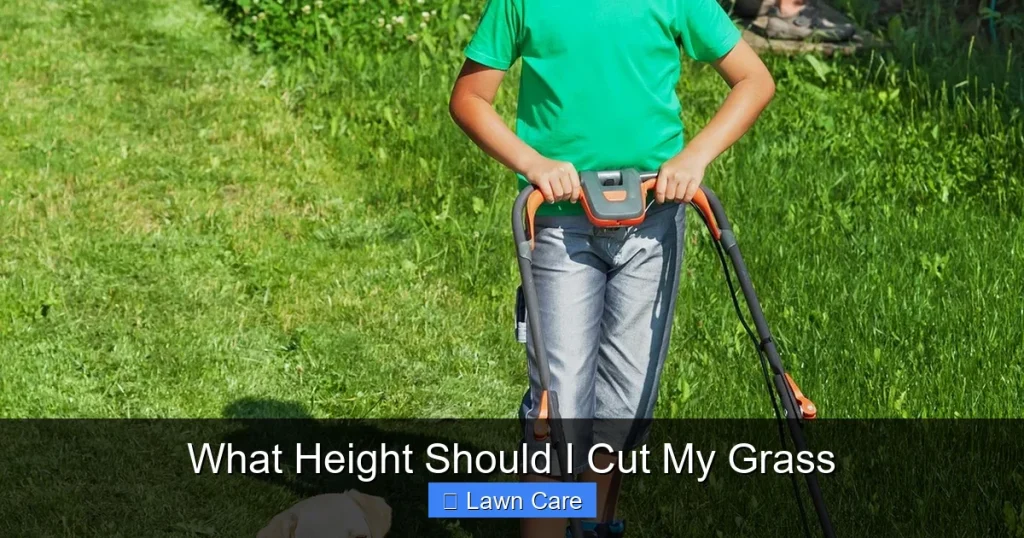 What Height Should I Cut My Grass
