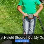 What Height Should I Cut My Grass