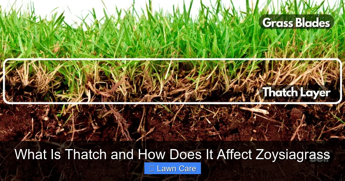 What Is Thatch and How Does It Affect Zoysiagrass