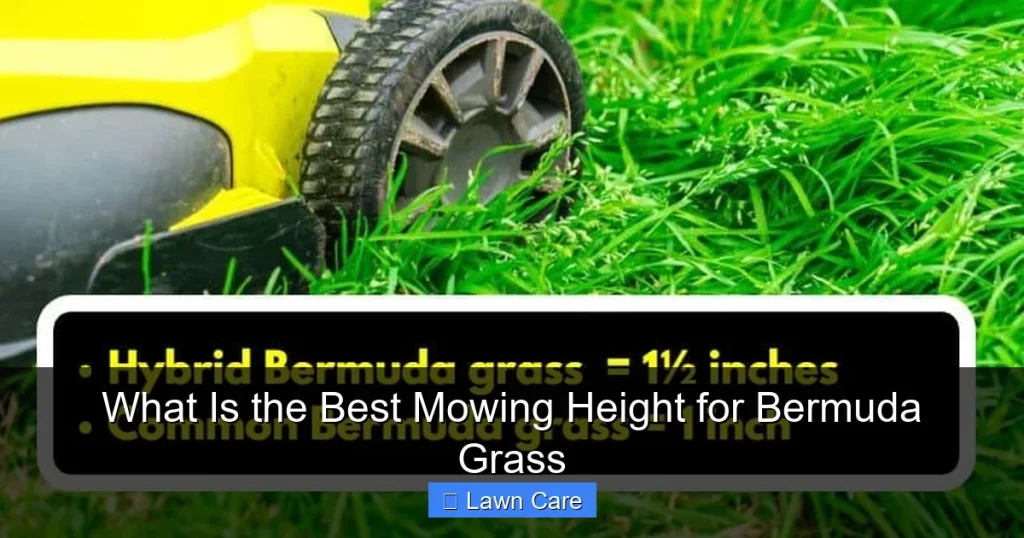 What Is the Best Mowing Height for Bermuda Grass