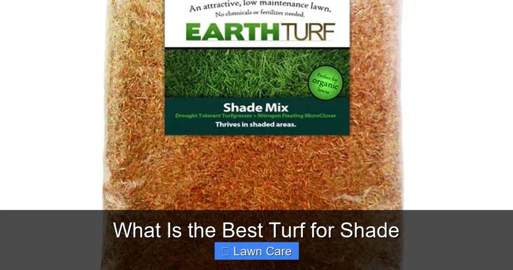 What Is the Best Turf for Shade