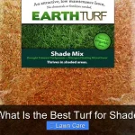 What Is the Best Turf for Shade