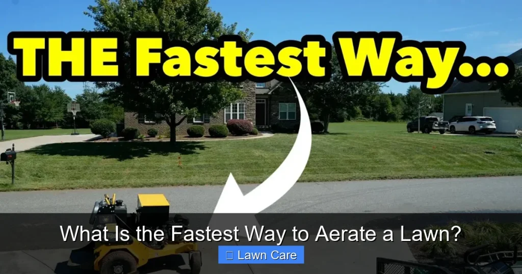 What Is the Fastest Way to Aerate a Lawn?
