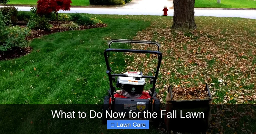 What to Do Now for the Fall Lawn