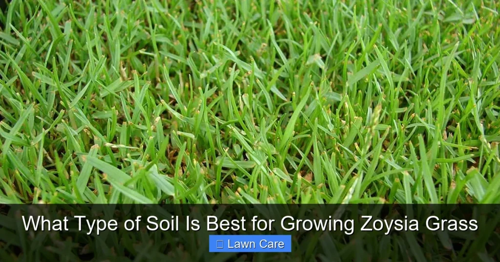 What Type of Soil Is Best for Growing Zoysia Grass